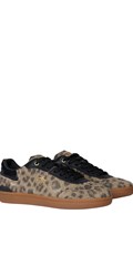 PYPER W ANIMALIER ŽENSKE TENISICE - 2